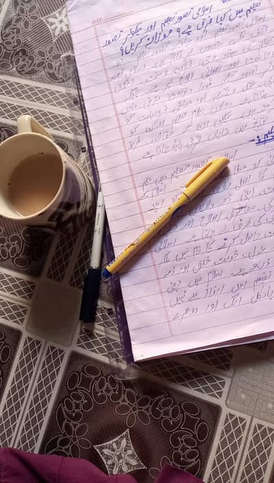 I m professional writer of assignments