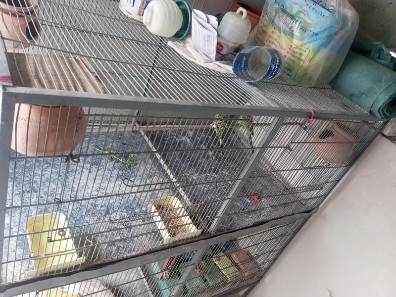 only pinjra  for sell 4×4 dip 2 fit — photo 2