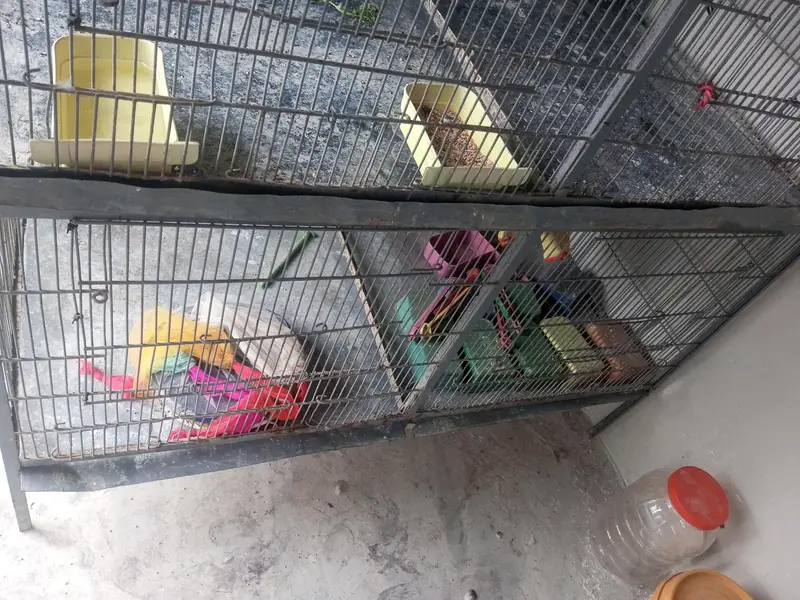 only pinjra  for sell 4×4 dip 2 fit — photo 3