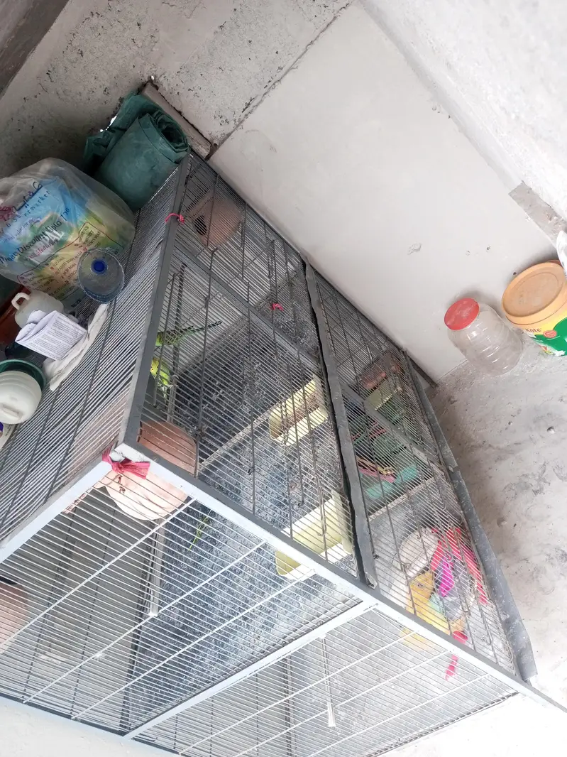 only pinjra  for sell 4×4 dip 2 fit — photo 5