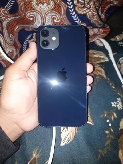 Apple iPhone 12