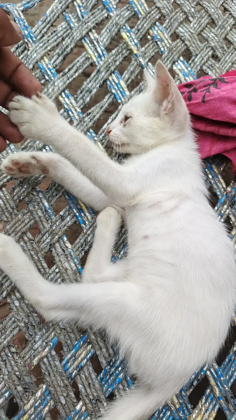urgent sale — photo 2