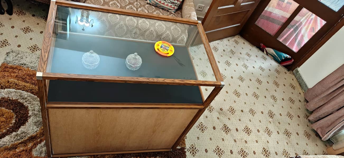 Portable Counter 1