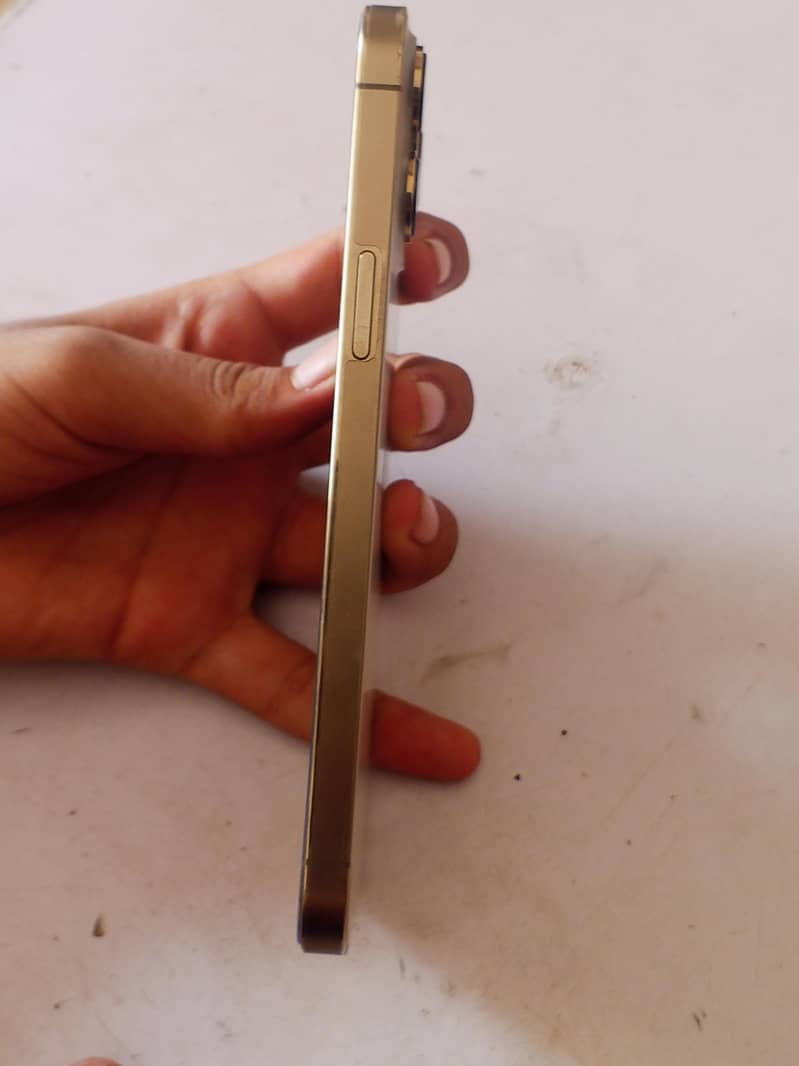 Apple iPhone 13 Pro Max 1