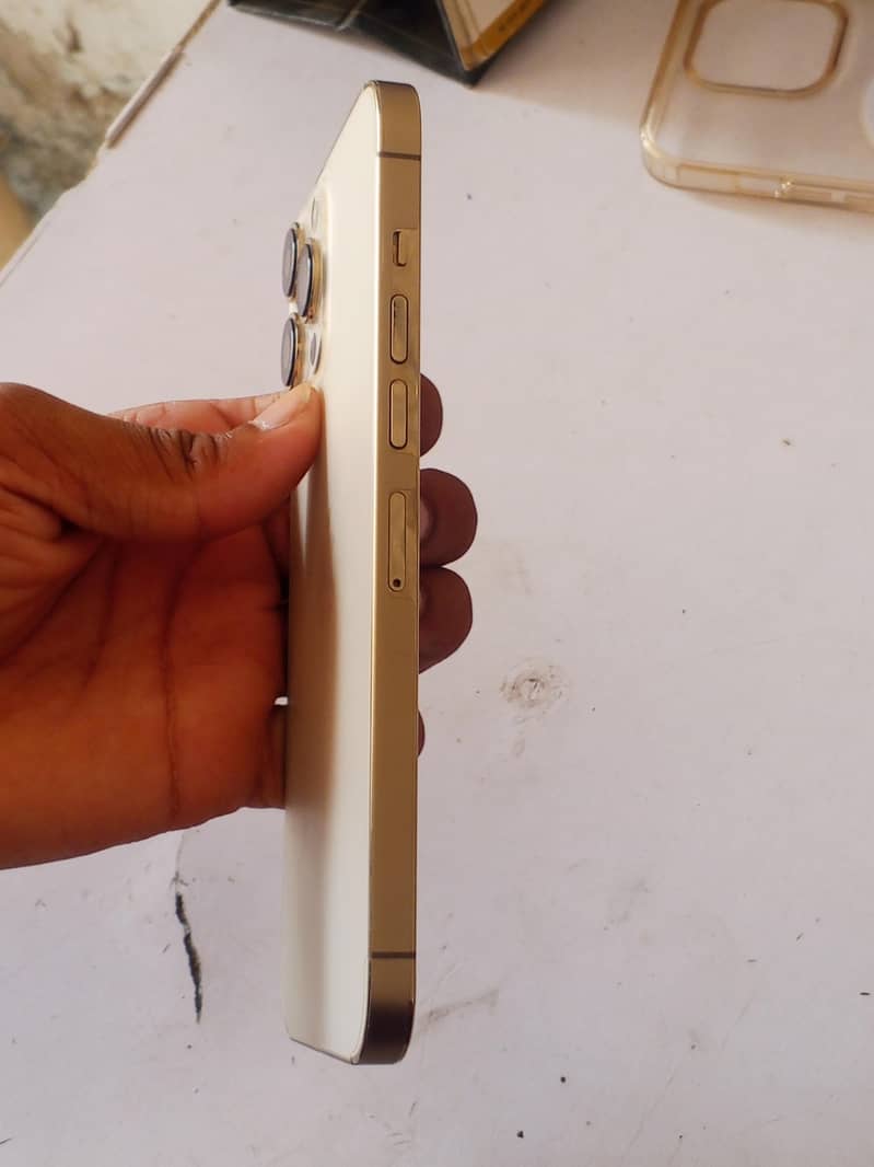 Apple iPhone 13 Pro Max 2