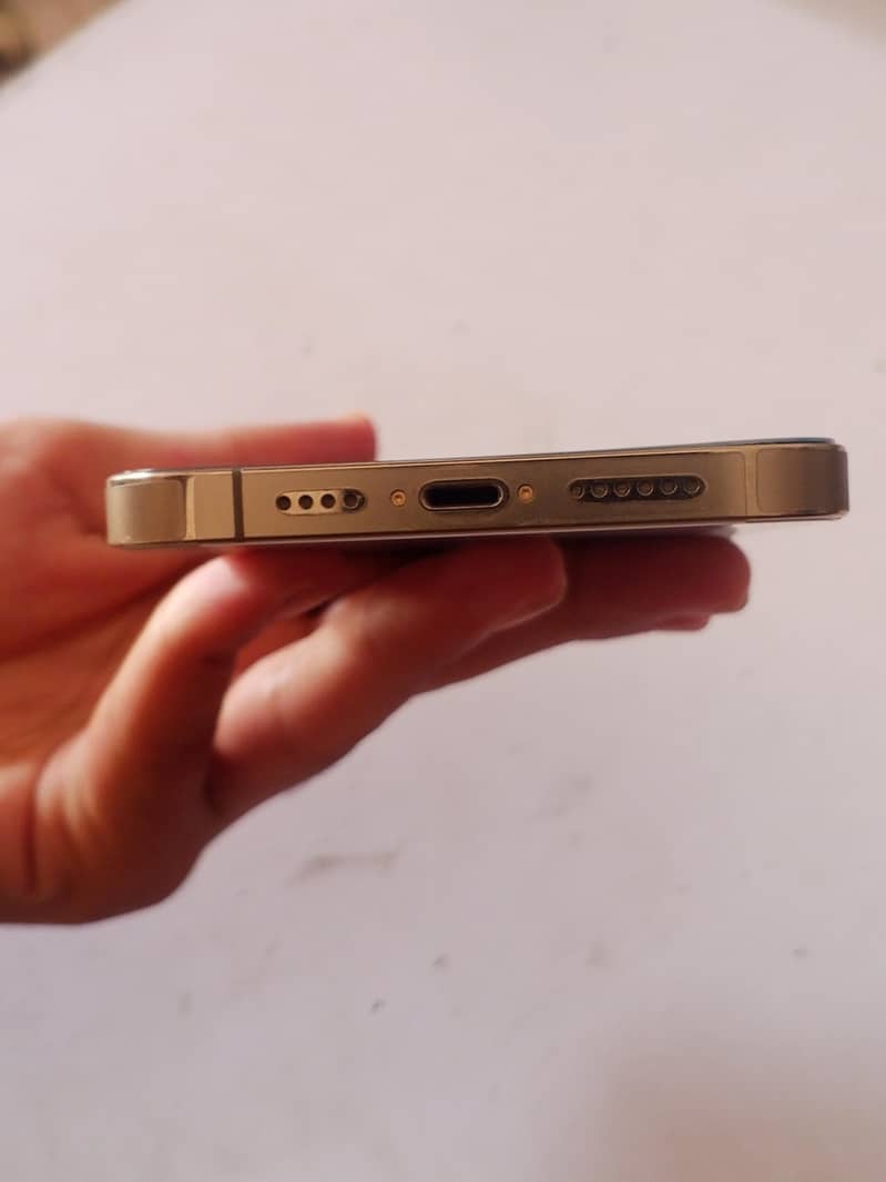 Apple iPhone 13 Pro Max 3
