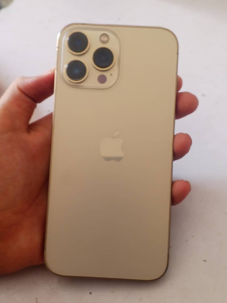 Apple iPhone 13 Pro Max 5
