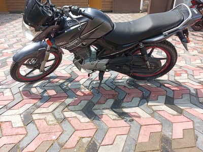 yamaha ybr 125