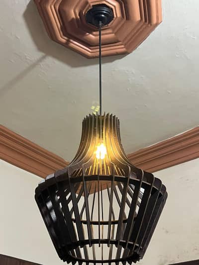 Stylish Black Hanging Pendant Light / Ceiling Lamp