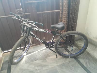 New fat cycle for sale