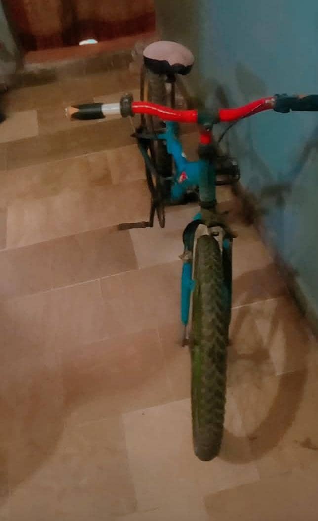 bicycle 1