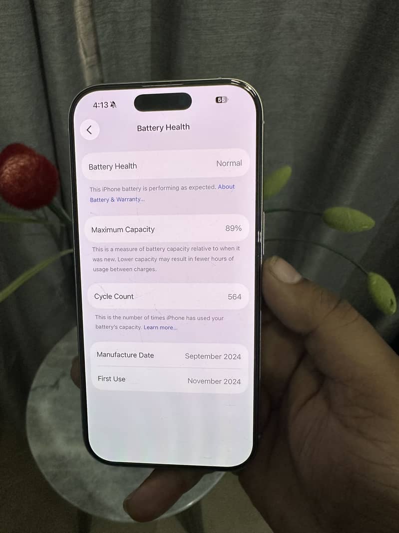 Apple iPhone 16 Pro 4