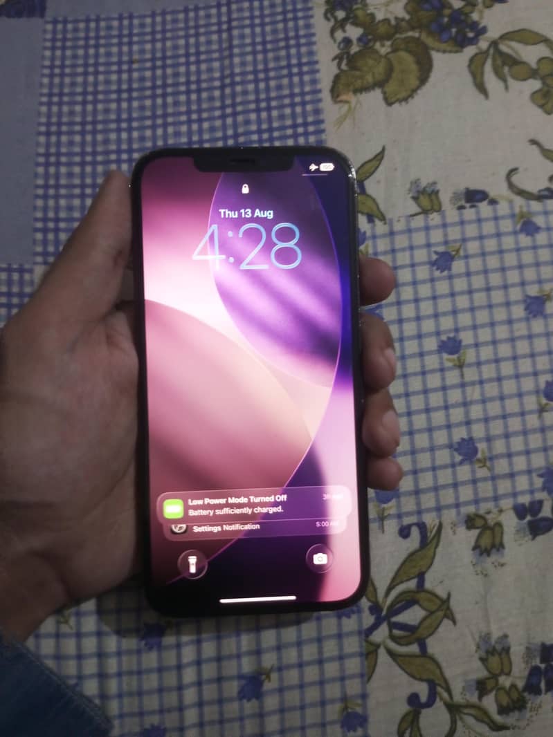 Apple iPhone 12 Pro Max 1
