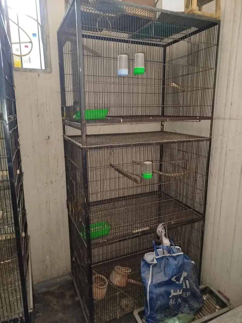 Heavy Iron 3 Portion Cages with Stands & Free Bird Houses