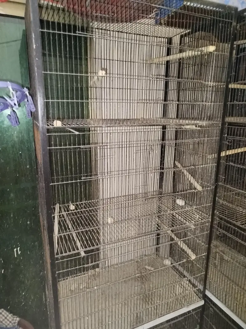 Heavy Iron 3 Portion Cages with Stands & Free Bird Houses — photo 2
