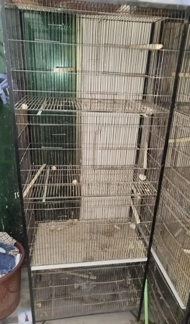 Heavy Iron 3 Portion Cages with Stands & Free Bird Houses — photo 3