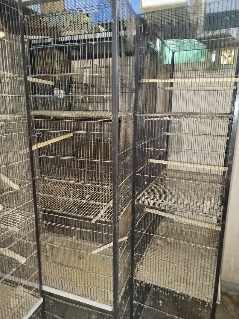 Heavy Iron 3 Portion Cages with Stands & Free Bird Houses — photo 4