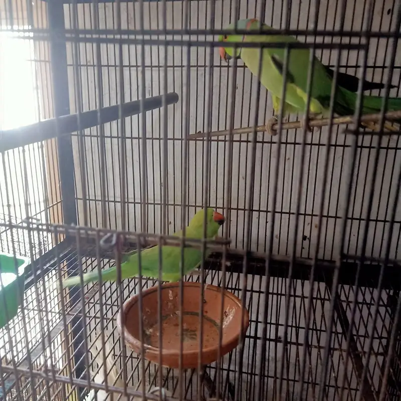 male female — photo 2