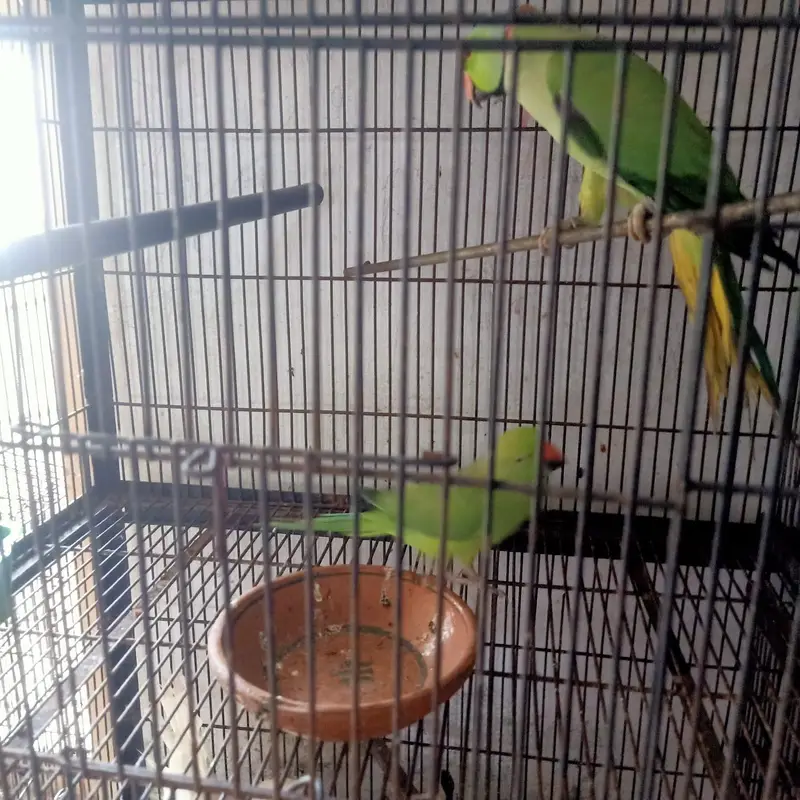 male female — photo 3