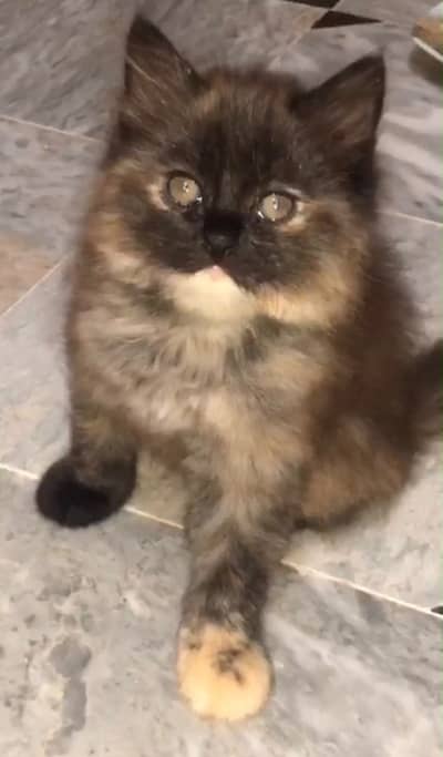 For sale