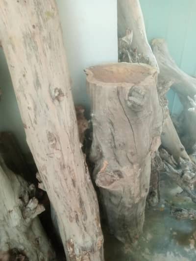 wood for sale
