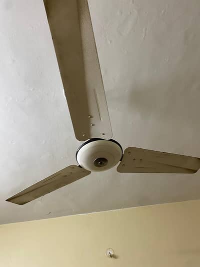 two fans