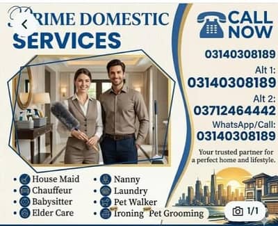 Maid/Cook/Babysitter/Patient attendant/Helper/Driver/Nurse