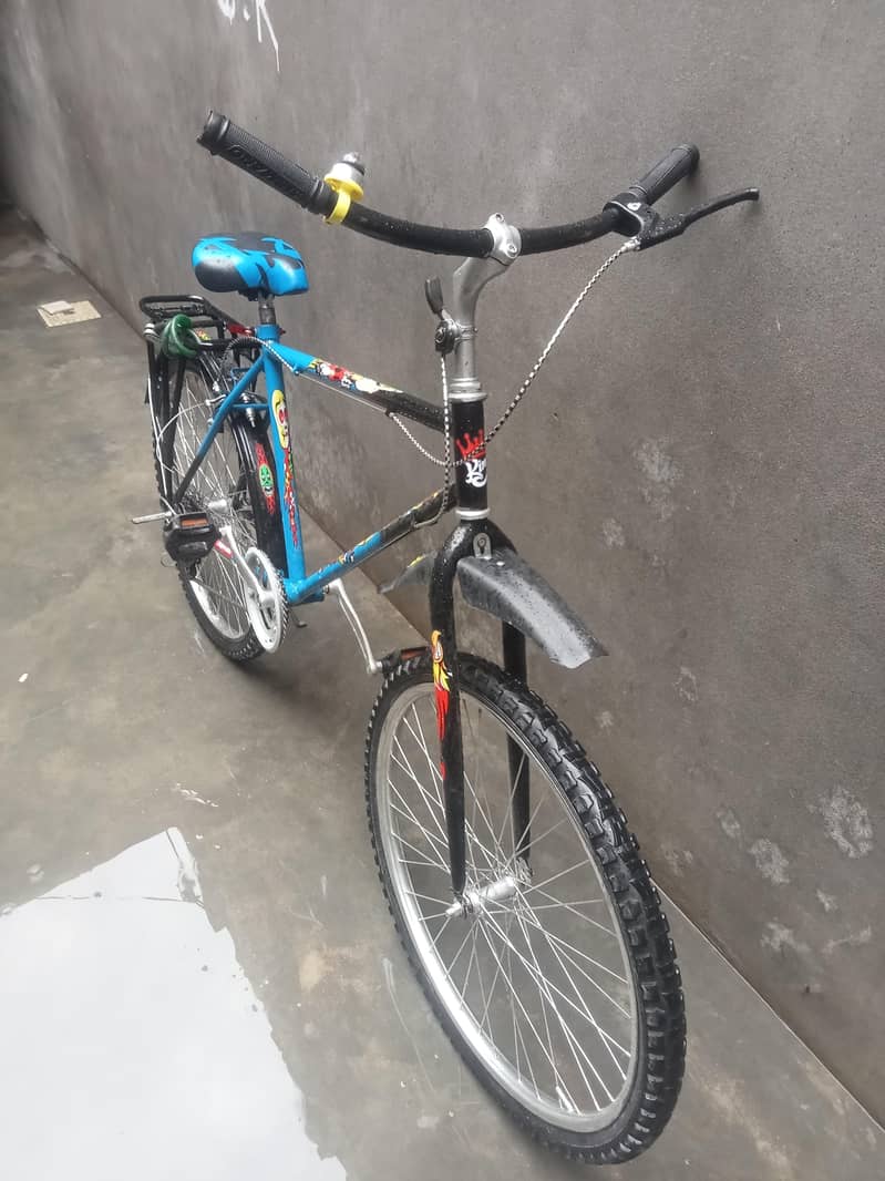 wiler cycle 4