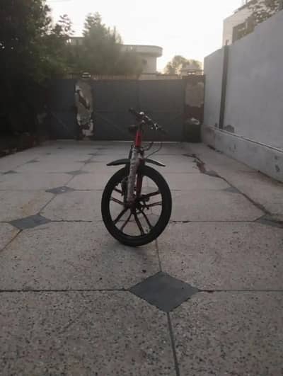 Lazer Bicycle