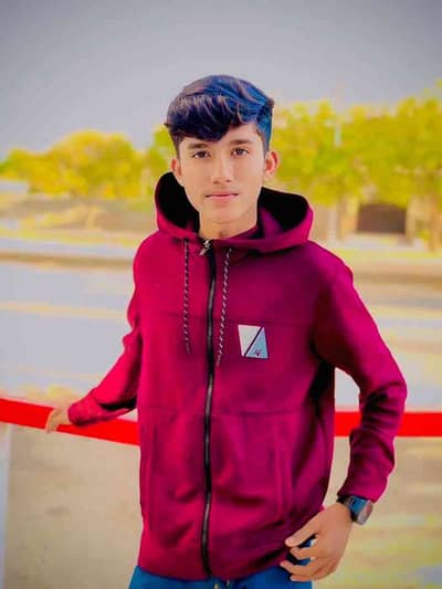 Mamnoon hussain