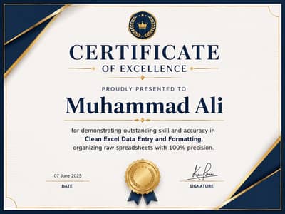 Professional Data Entry & MS Excel Specialist