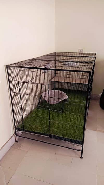 cat cage