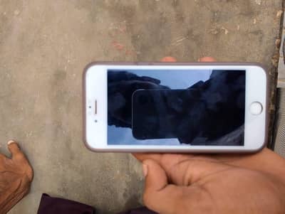 Apple iPhone 6S
