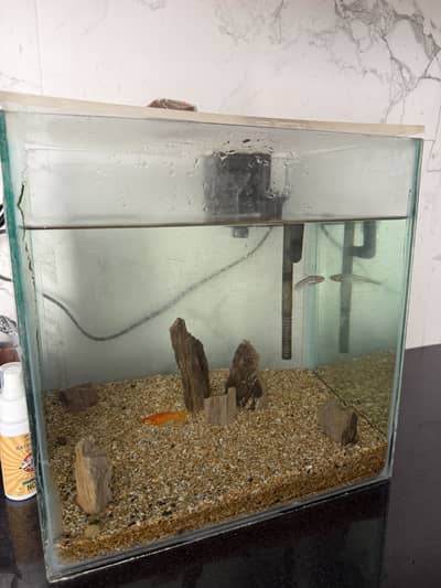 Fish Aquarium setup