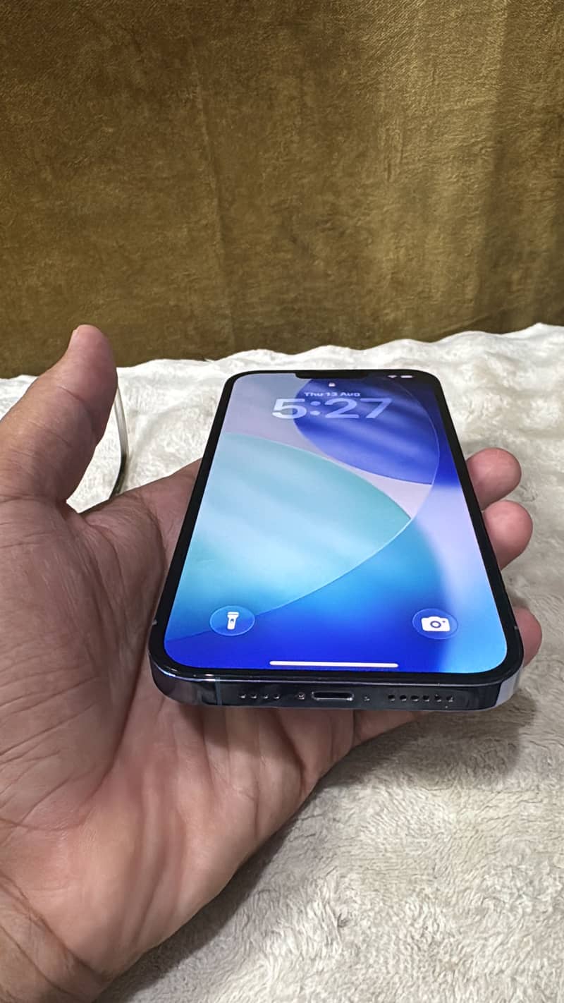 Apple iPhone 13 Pro Max 2