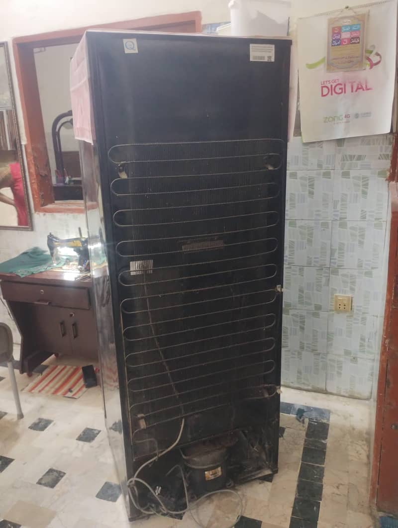 pel fridge 4