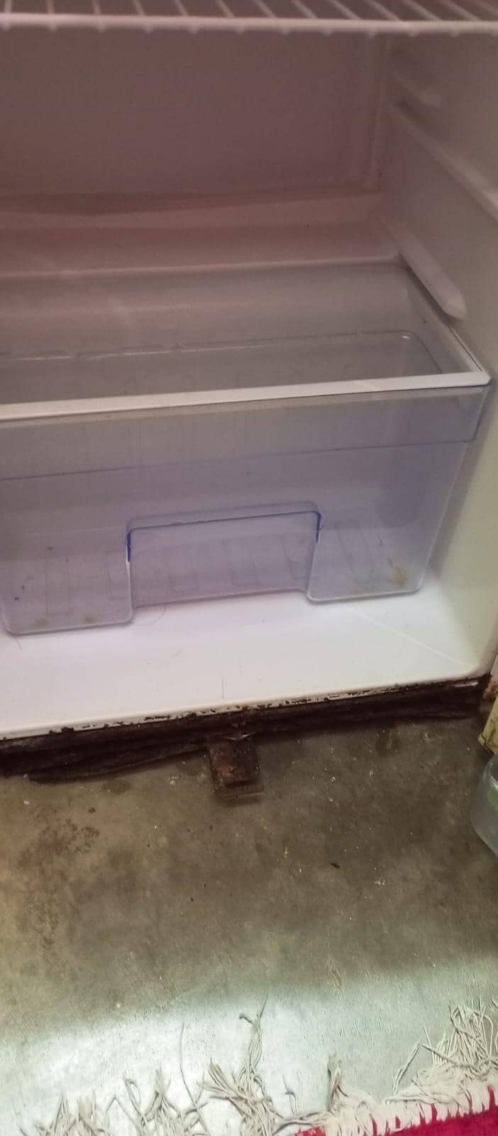 refrigerator 1