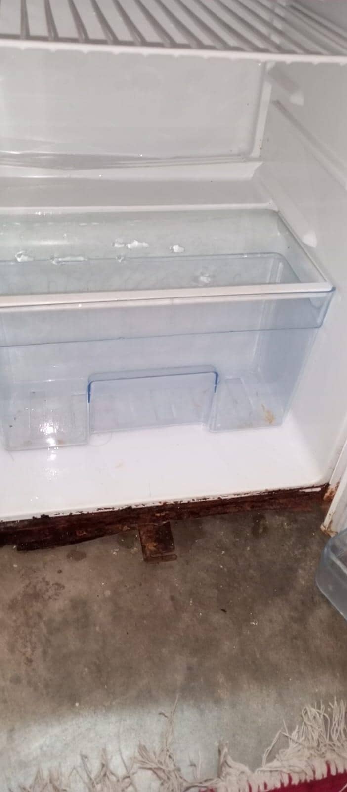 refrigerator 5