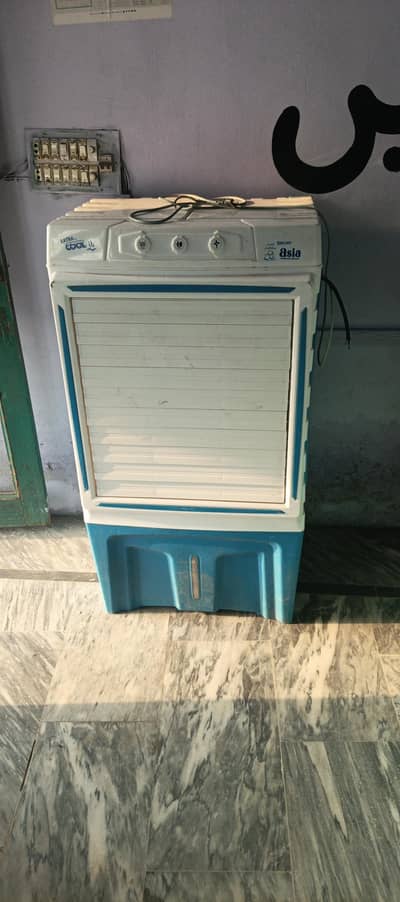 Asia Coller 12 vold