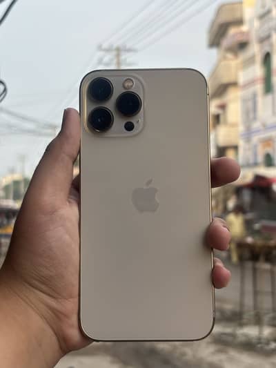 Apple iPhone 13 Pro Max