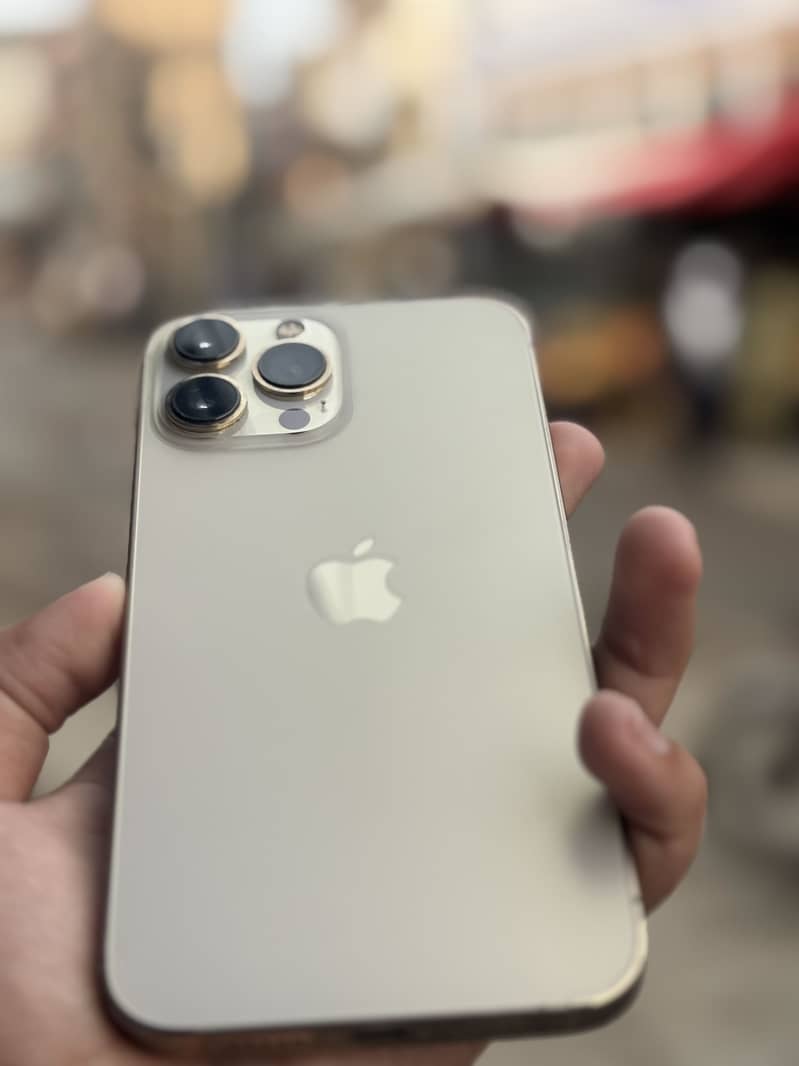 Apple iPhone 13 Pro Max 1