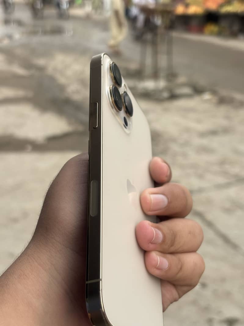 Apple iPhone 13 Pro Max 4
