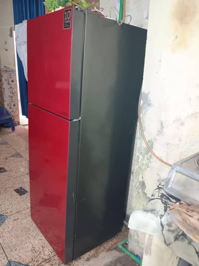 Haier freezer large