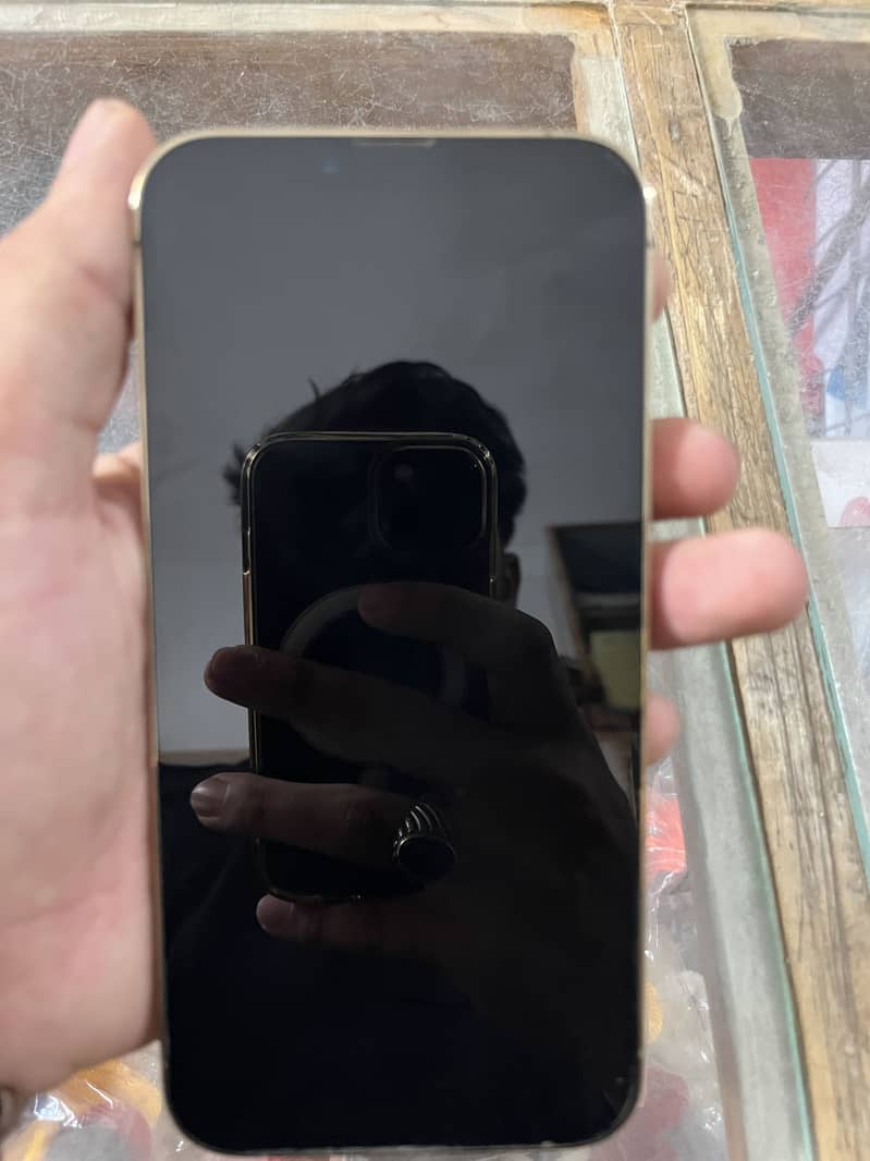 Apple iPhone 13 Pro Max 3