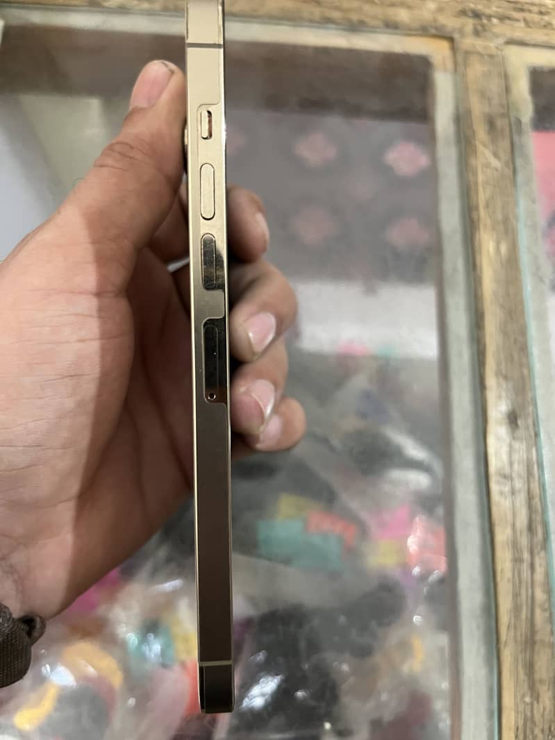 Apple iPhone 13 Pro Max 8