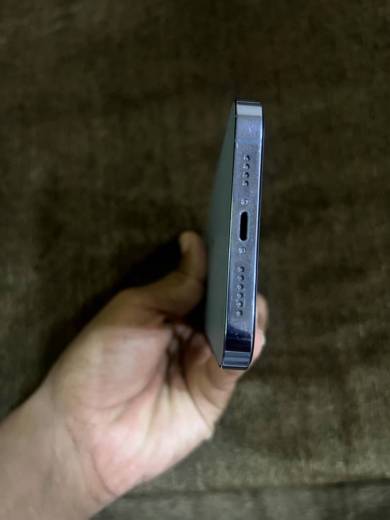 Apple iPhone 13 Pro Max 1