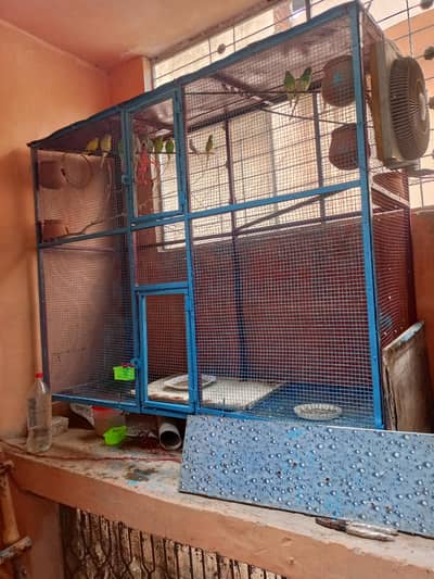 Mashallah pinjra gauge full size and parrot be ha size heavy duty
