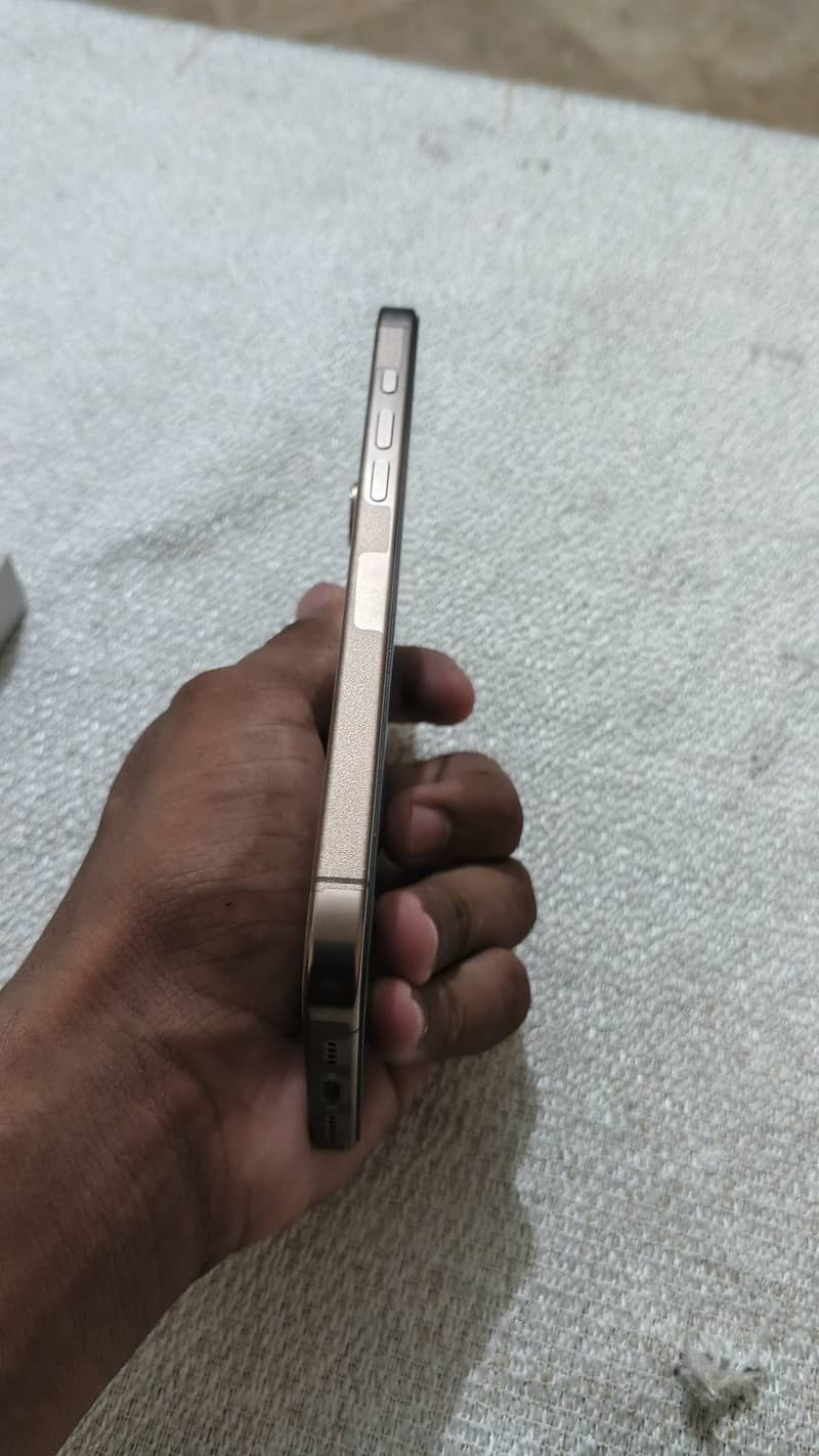 Apple iPhone 16 Pro Max 8