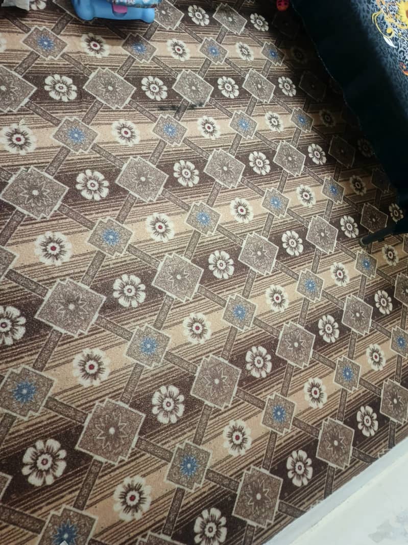 Carpet 1