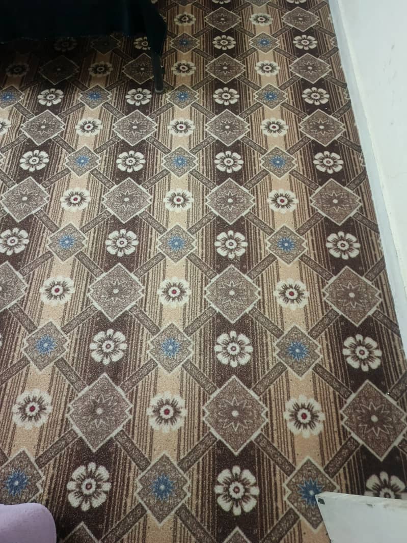 Carpet 2